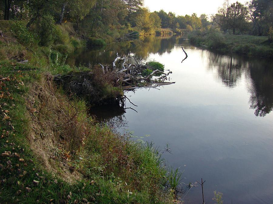 post-21429-0-22904000-1366303418_thumb.j