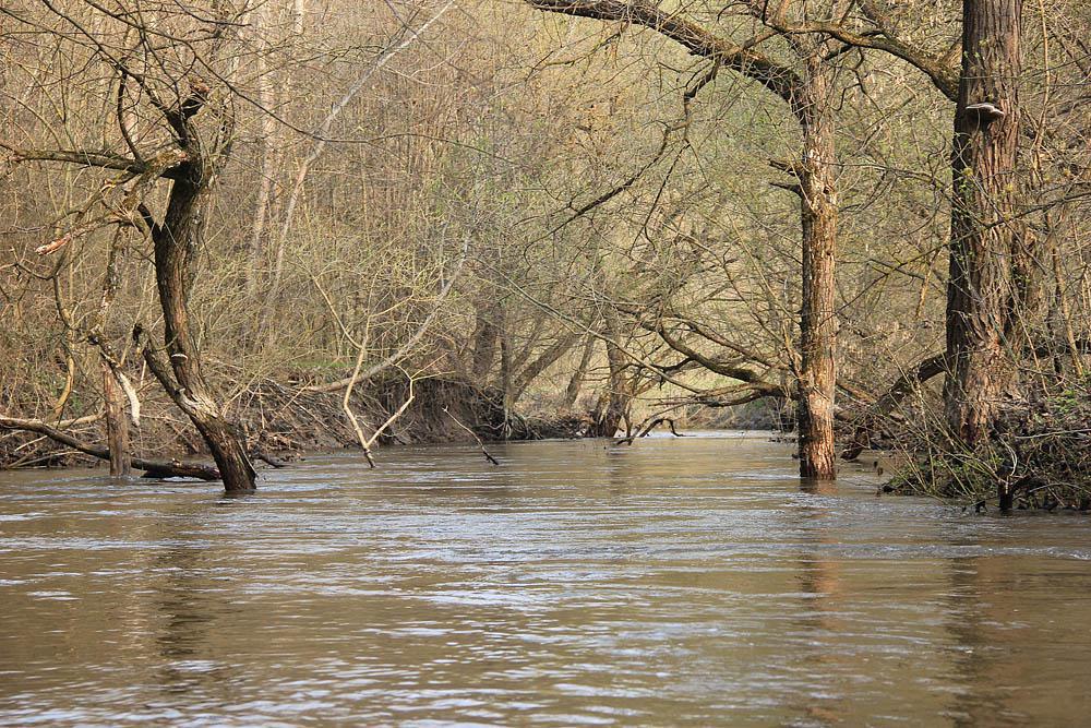 post-21429-0-23047100-1367142444_thumb.j