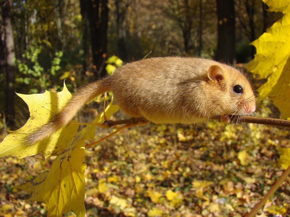 post-21429-0-23243600-1367171925_thumb.j