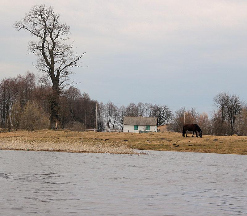 post-21429-0-26261400-1365782097_thumb.j