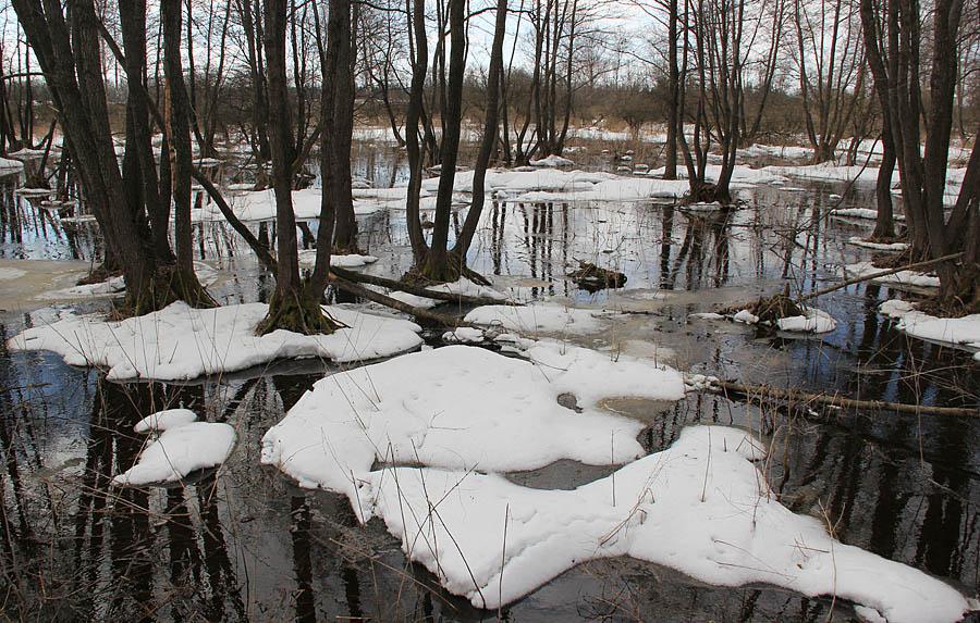 post-21429-0-26965200-1365443205_thumb.j