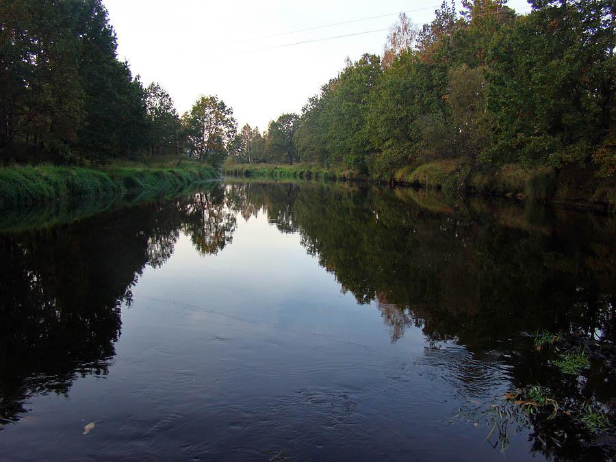 post-21429-0-26997500-1366303462_thumb.j