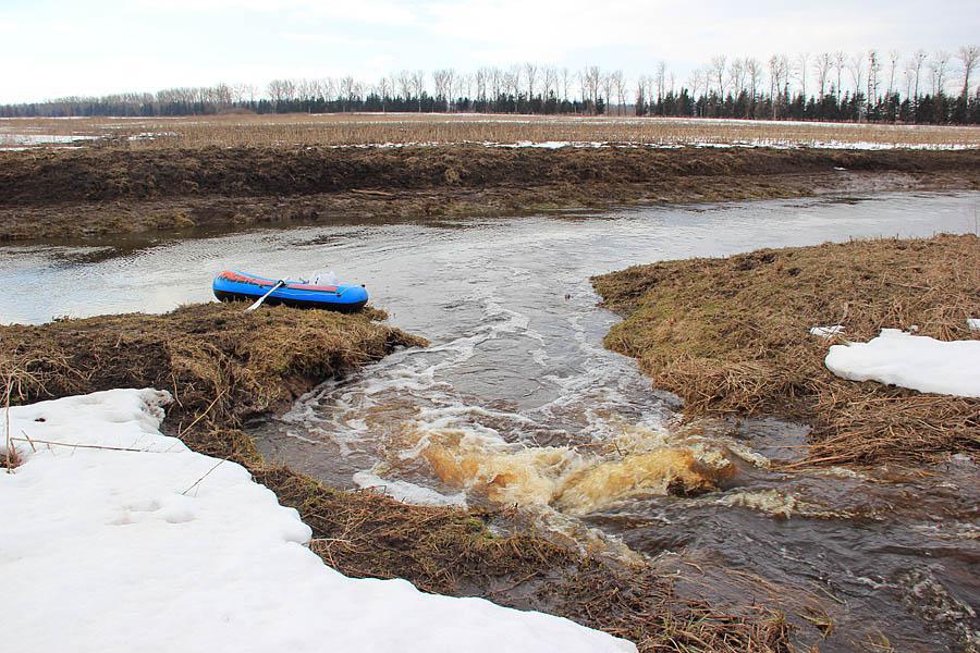 post-21429-0-29727000-1365442988_thumb.j