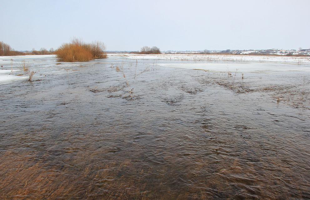 post-21429-0-29808300-1364901614_thumb.j