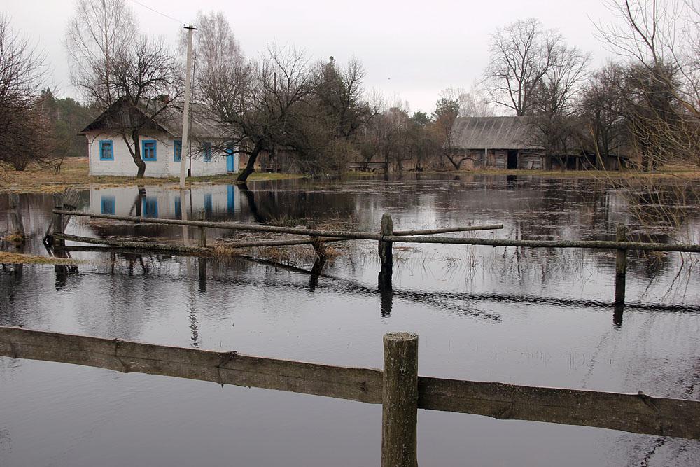 post-21429-0-30491200-1366106198_thumb.j