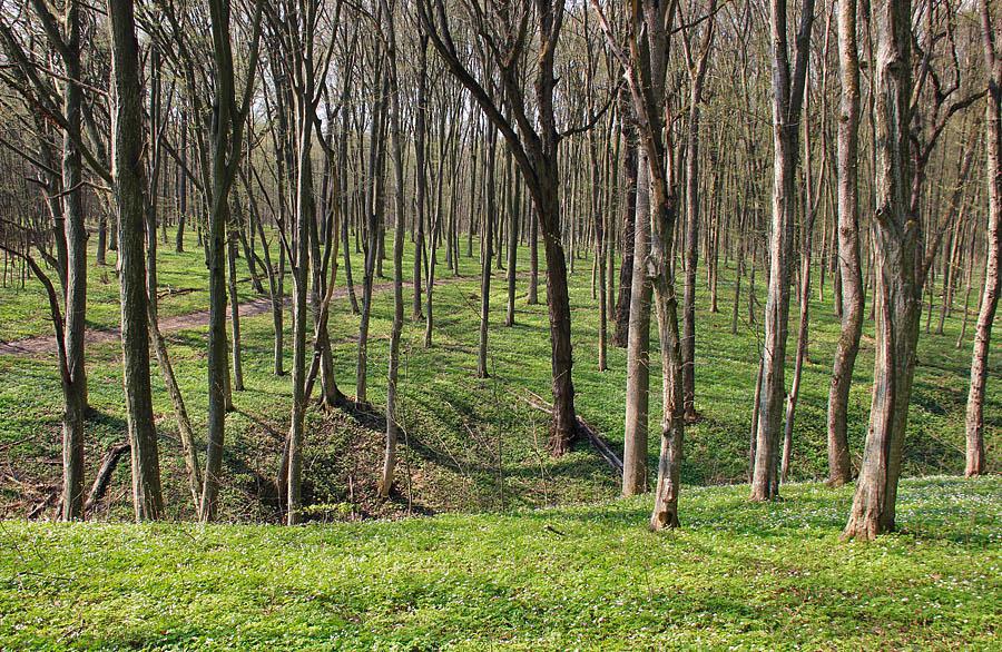 post-21429-0-35547000-1367142467_thumb.j