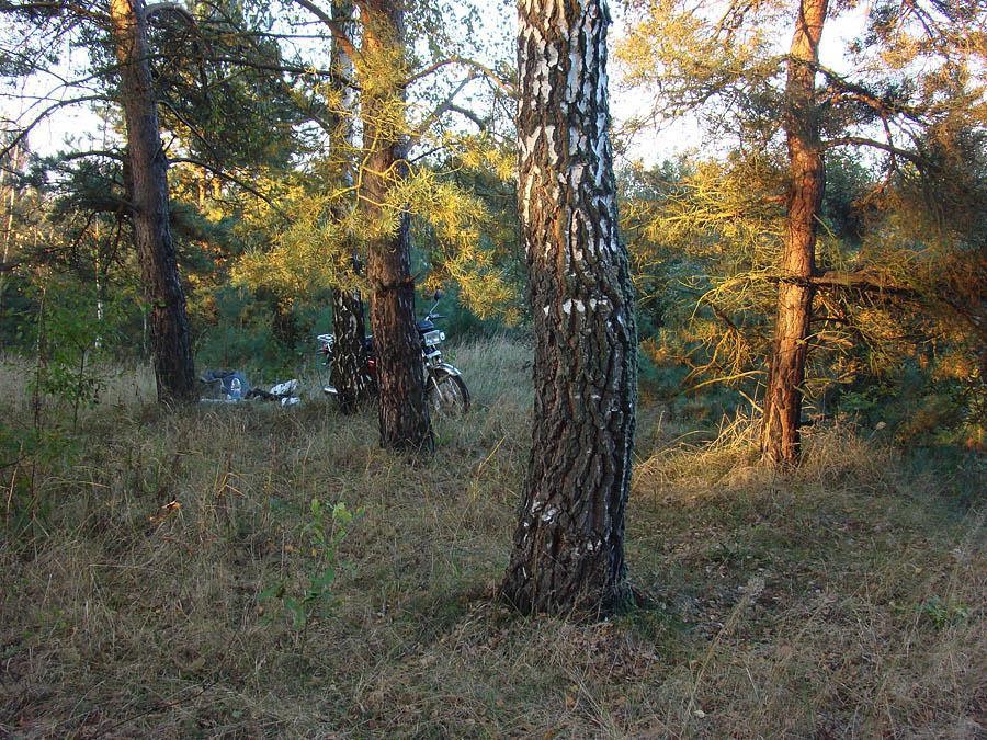 post-21429-0-35737800-1366303436_thumb.j