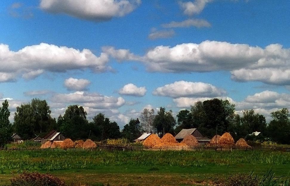 post-21429-0-37518400-1365318505_thumb.j