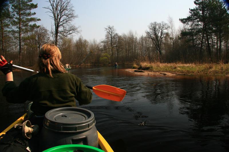 post-21429-0-38764600-1366305819_thumb.j