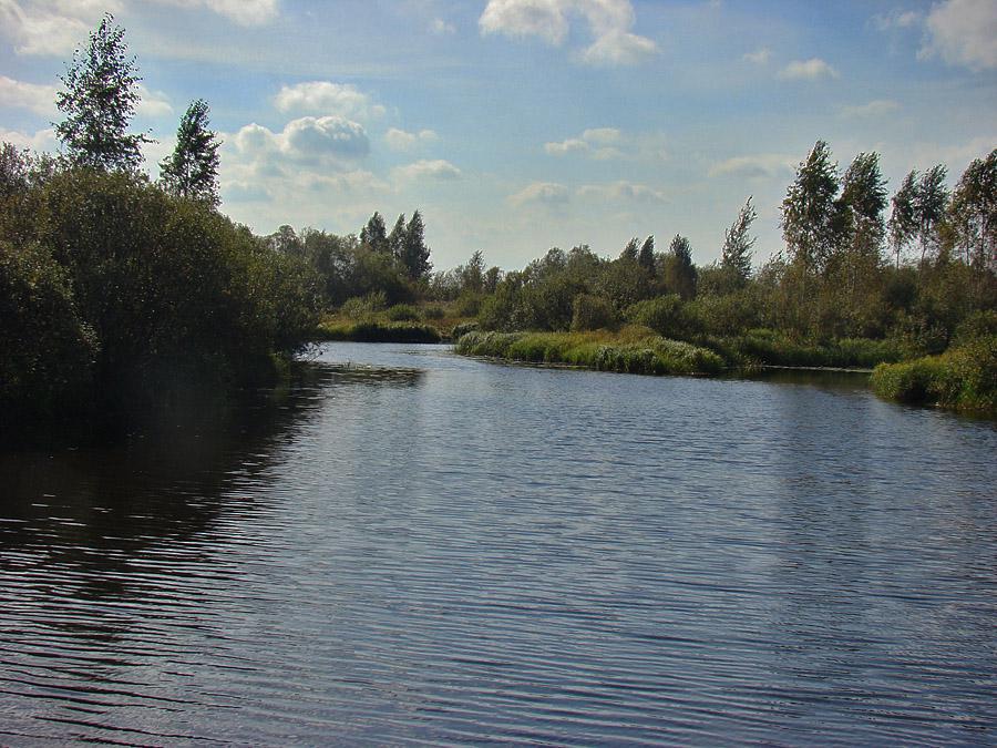 post-21429-0-38942300-1366303404_thumb.j