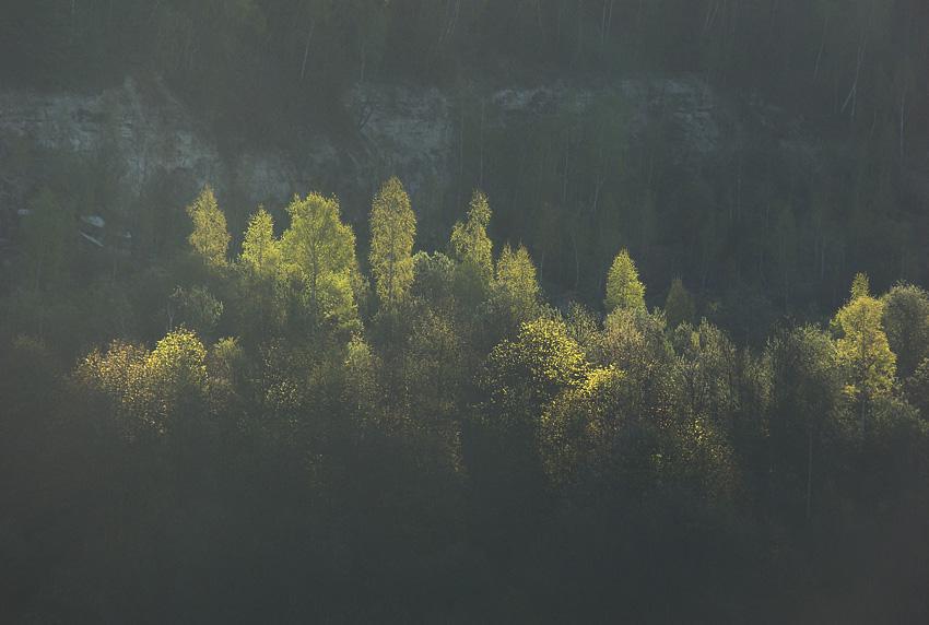 post-21429-0-39033000-1367142889_thumb.j