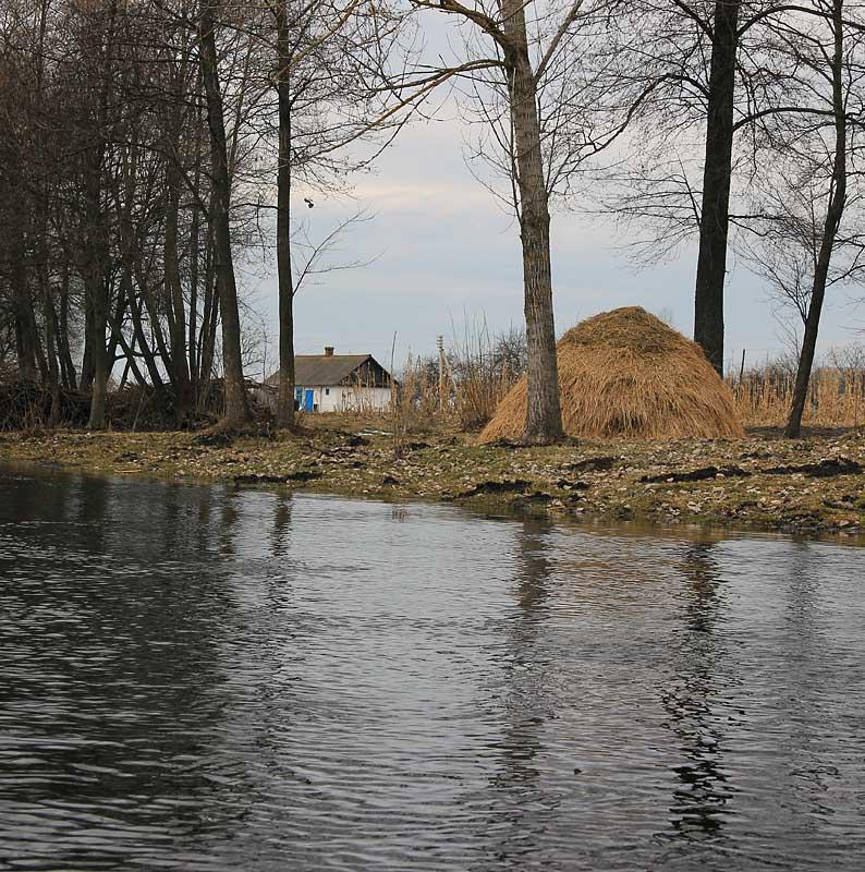 post-21429-0-39116200-1365782035_thumb.j