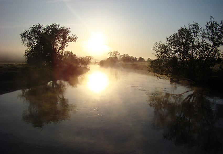 post-21429-0-39196000-1364985494_thumb.j