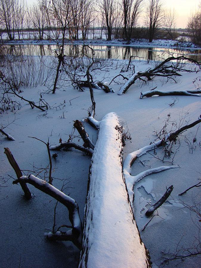 post-21429-0-39506500-1364971381_thumb.j