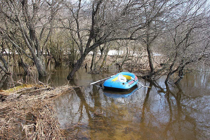 post-21429-0-39750400-1365443189_thumb.j