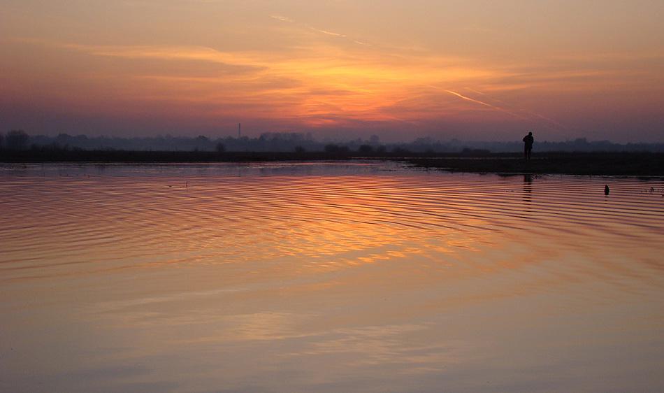 post-21429-0-40940900-1365057395_thumb.j