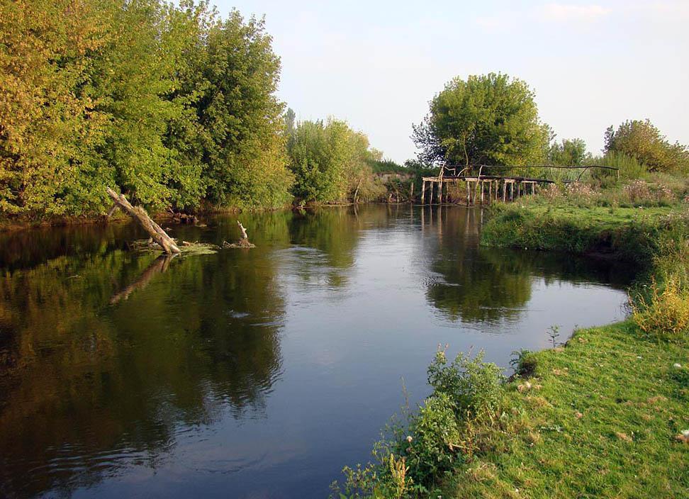 post-21429-0-41785300-1364899714_thumb.j