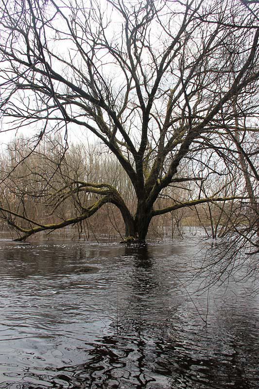 post-21429-0-44465200-1365782079_thumb.j