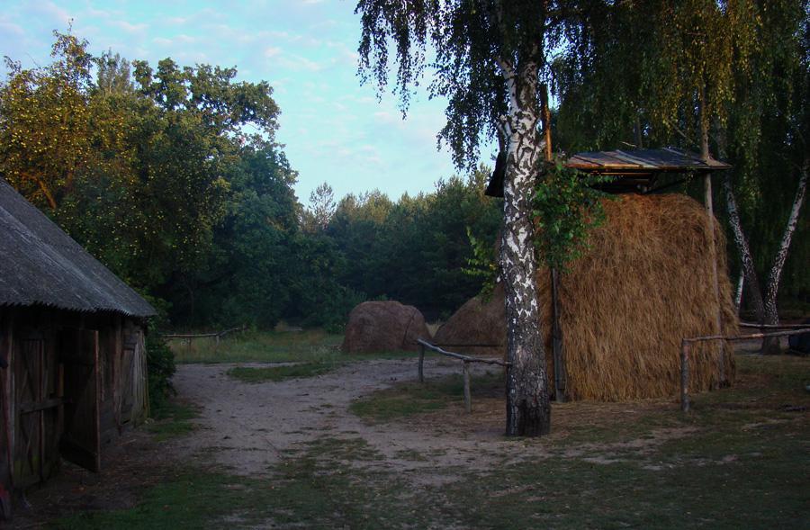 post-21429-0-44946100-1365317485_thumb.j