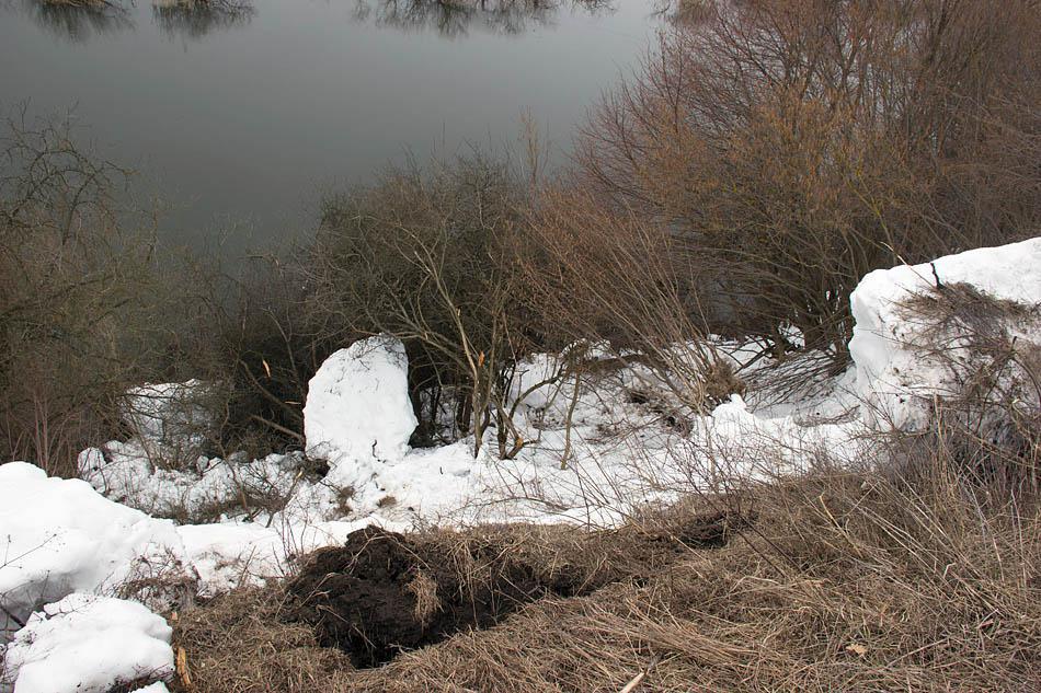 post-21429-0-45017800-1365592121_thumb.j