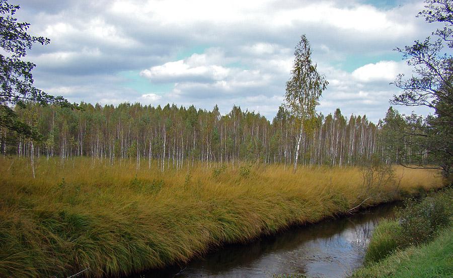 post-21429-0-45517700-1366303412_thumb.j