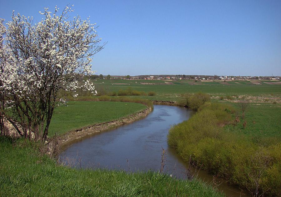 post-21429-0-46009100-1365057423_thumb.j