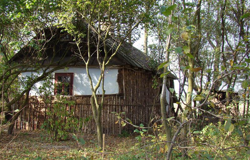 post-21429-0-47759700-1365182379_thumb.j