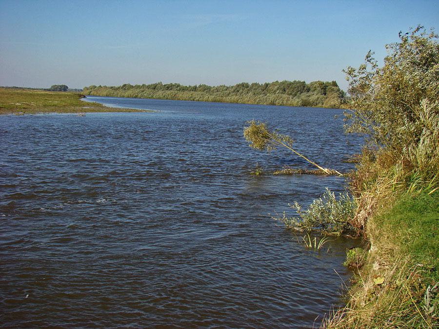 post-21429-0-49662800-1366303476_thumb.j