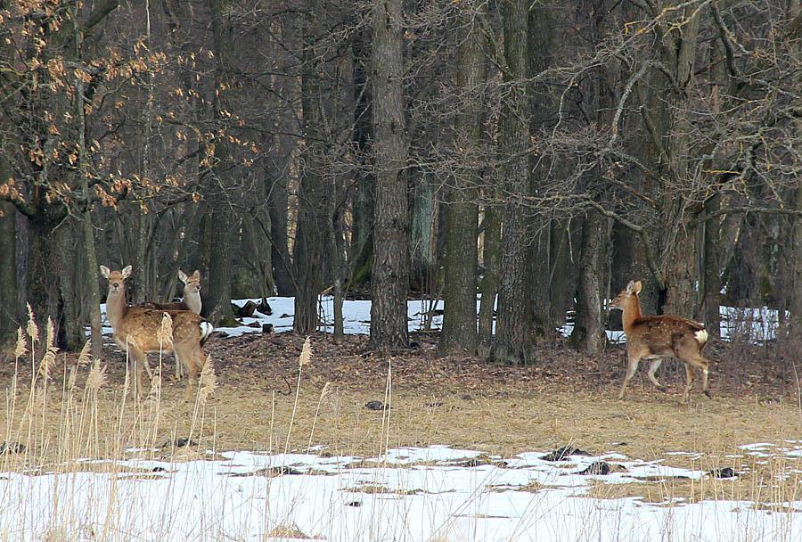 post-21429-0-50322400-1365443218_thumb.j