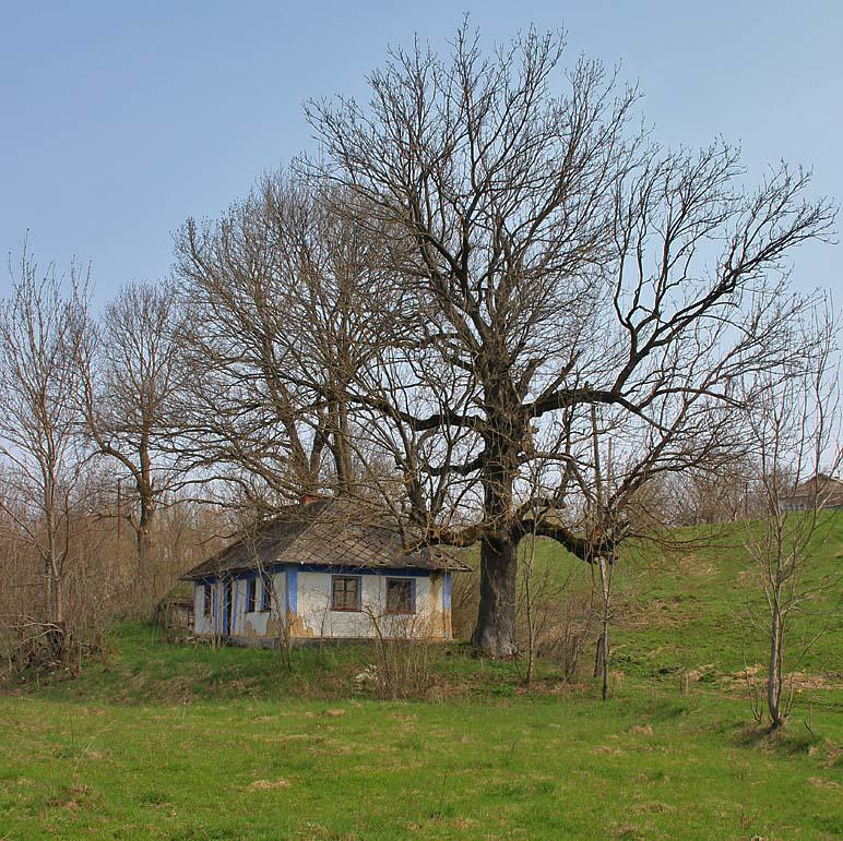 post-21429-0-51617800-1367142453_thumb.j