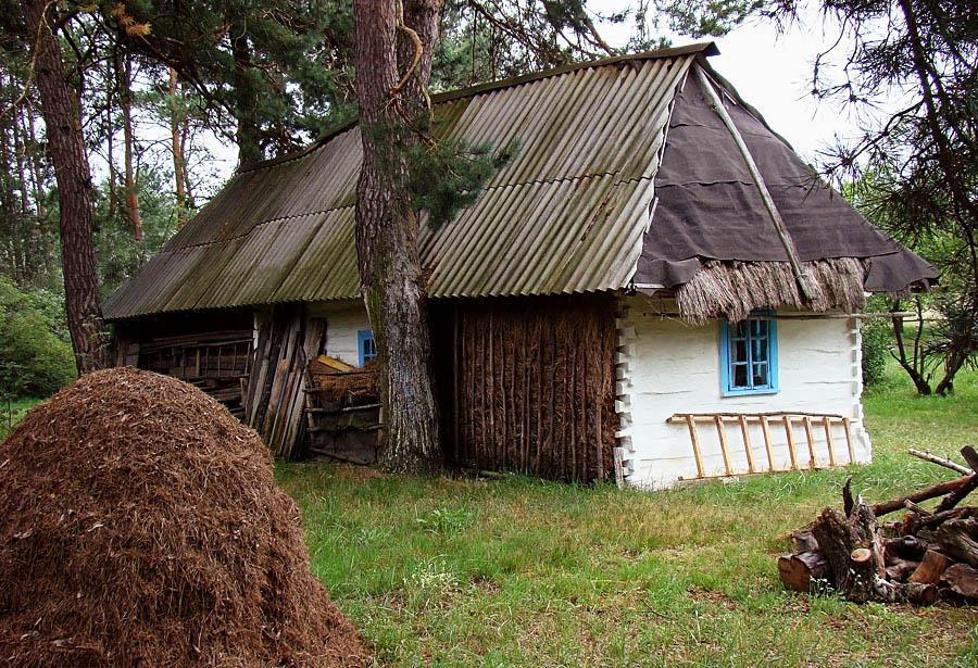 post-21429-0-55800200-1365166624_thumb.j