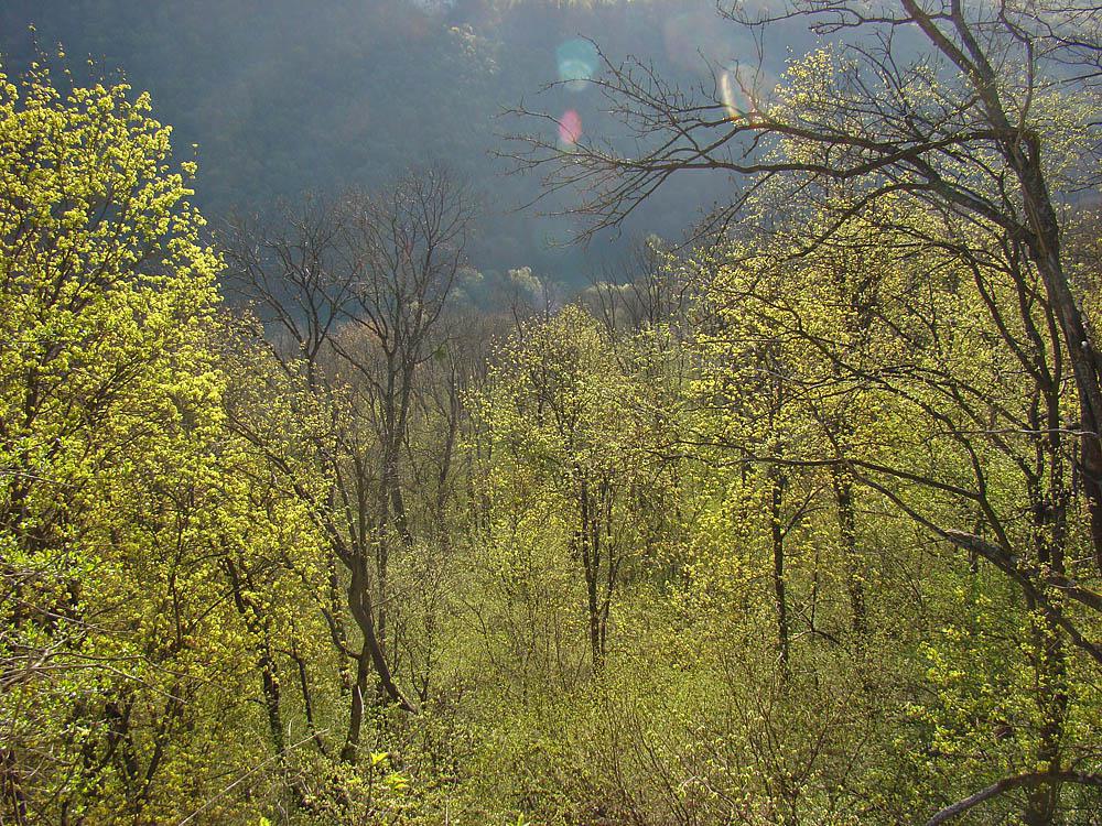 post-21429-0-57065400-1367143490_thumb.j