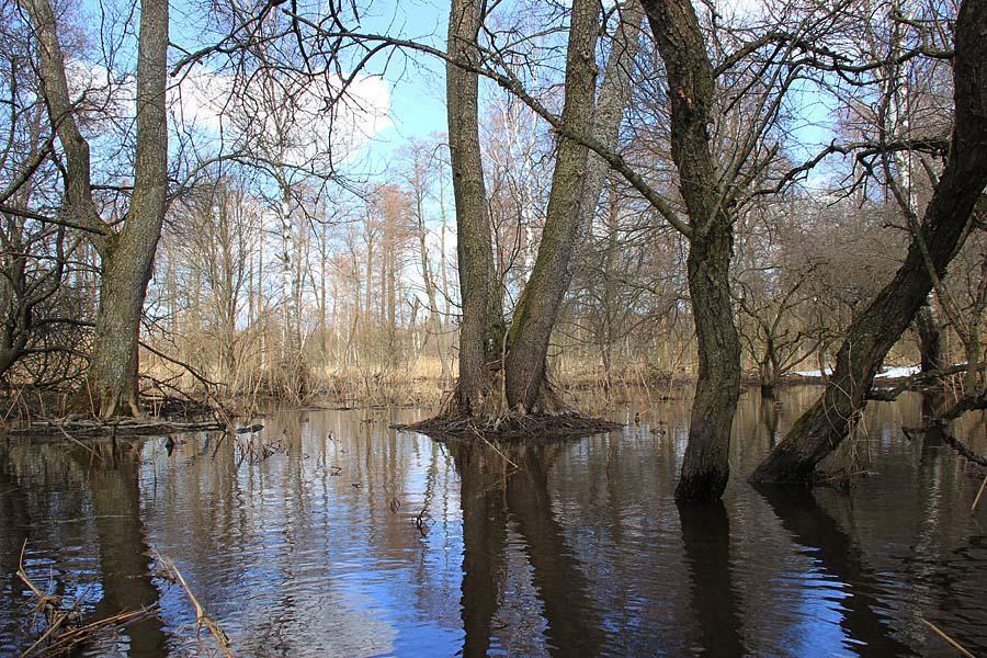 post-21429-0-57593500-1365443151_thumb.j