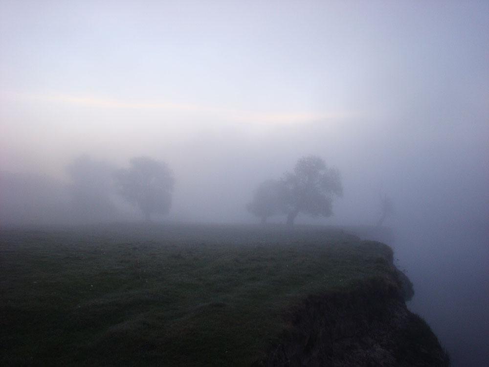 post-21429-0-58082000-1364985531_thumb.j