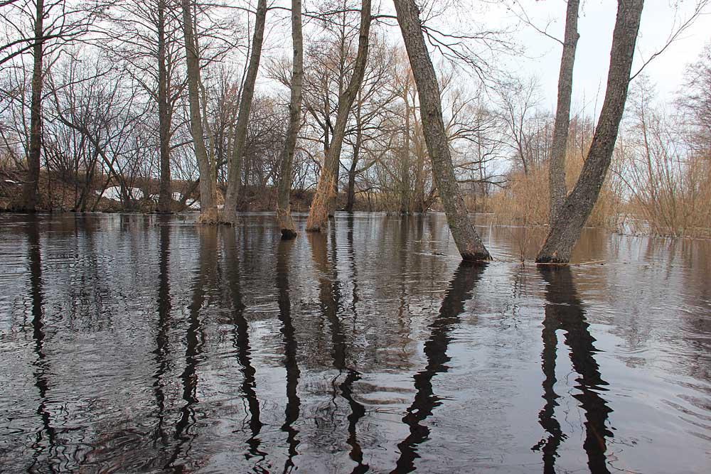 post-21429-0-58383000-1365782043_thumb.j