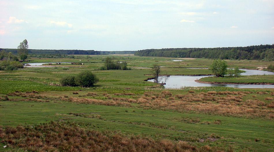 post-21429-0-60279000-1364985509_thumb.j