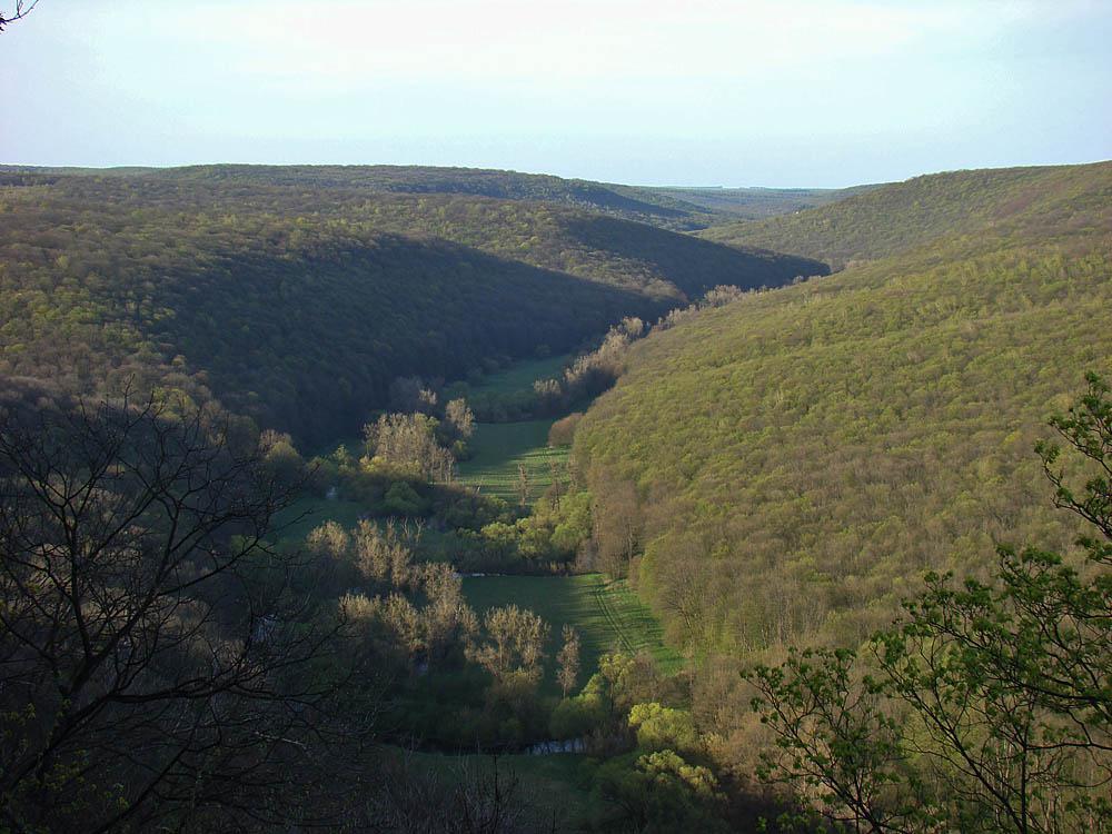 post-21429-0-60633700-1367143476_thumb.j