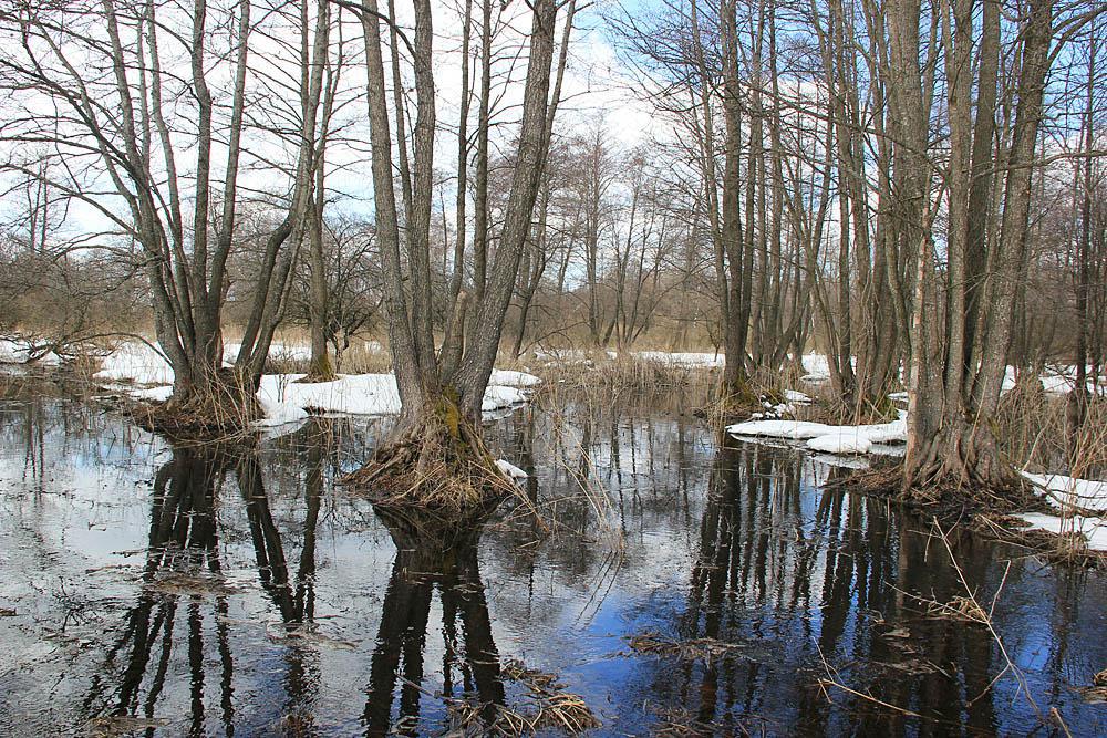 post-21429-0-60671400-1365442932_thumb.j