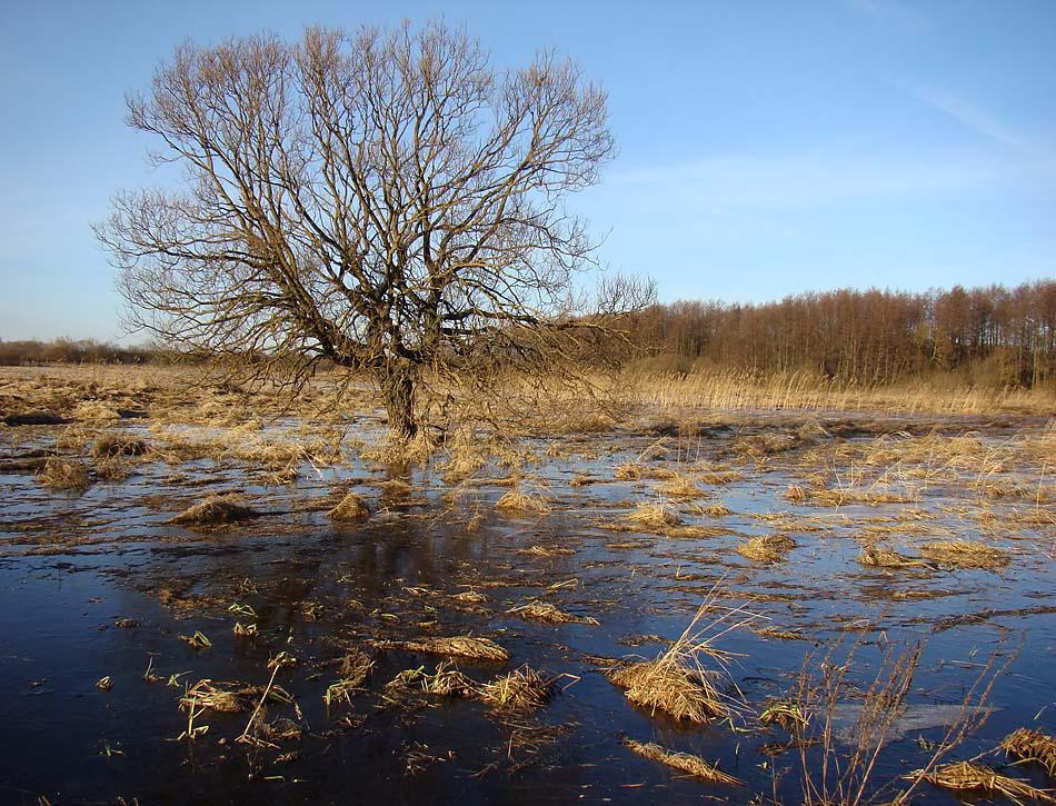 post-21429-0-61407300-1365665487_thumb.j