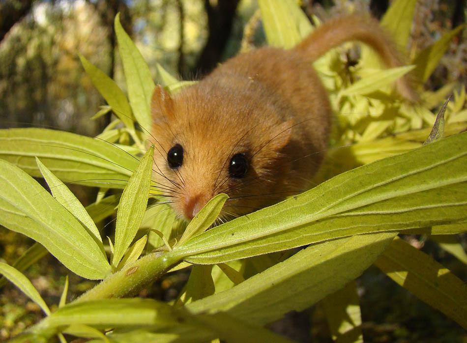 post-21429-0-62432300-1367171892_thumb.j