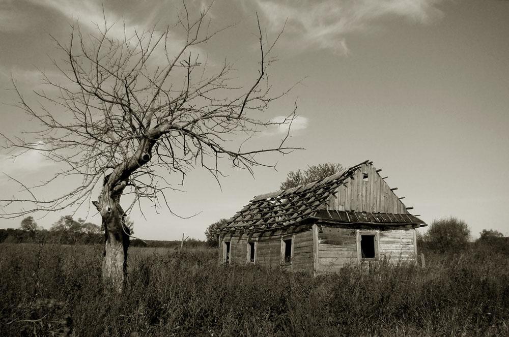 post-21429-0-63270700-1365200122_thumb.j