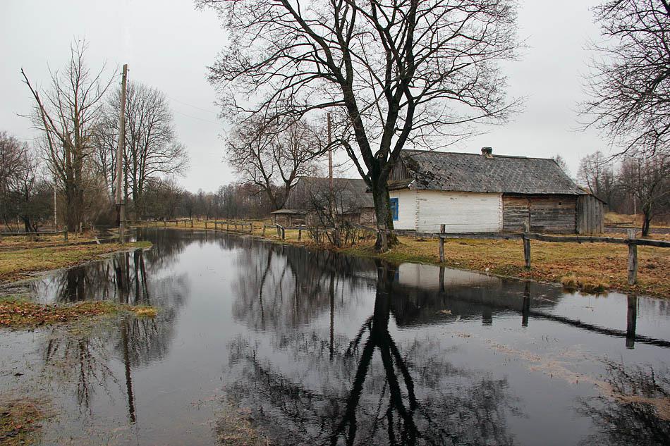 post-21429-0-66201500-1366106159_thumb.j