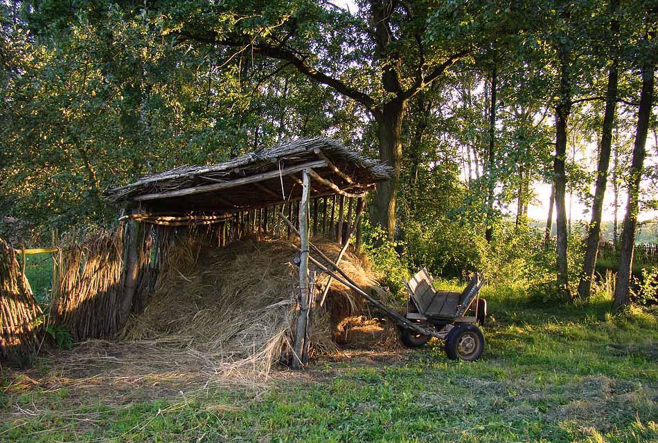 post-21429-0-68581300-1365317491_thumb.j