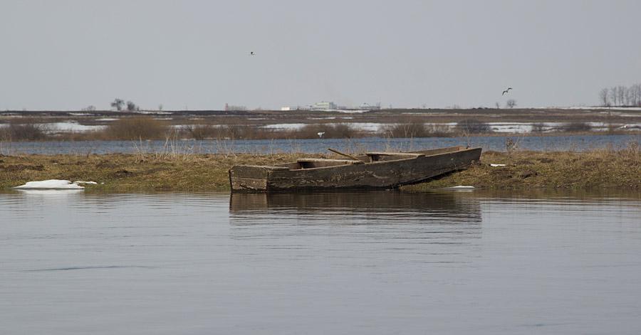 post-21429-0-71391800-1365592196_thumb.j