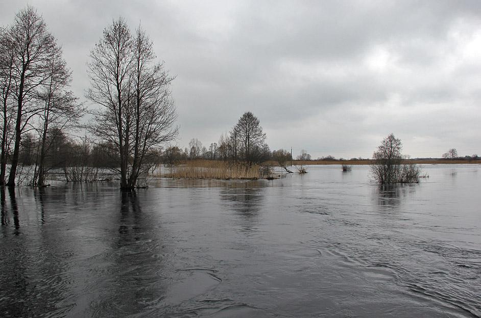 post-21429-0-72410300-1366054341_thumb.j