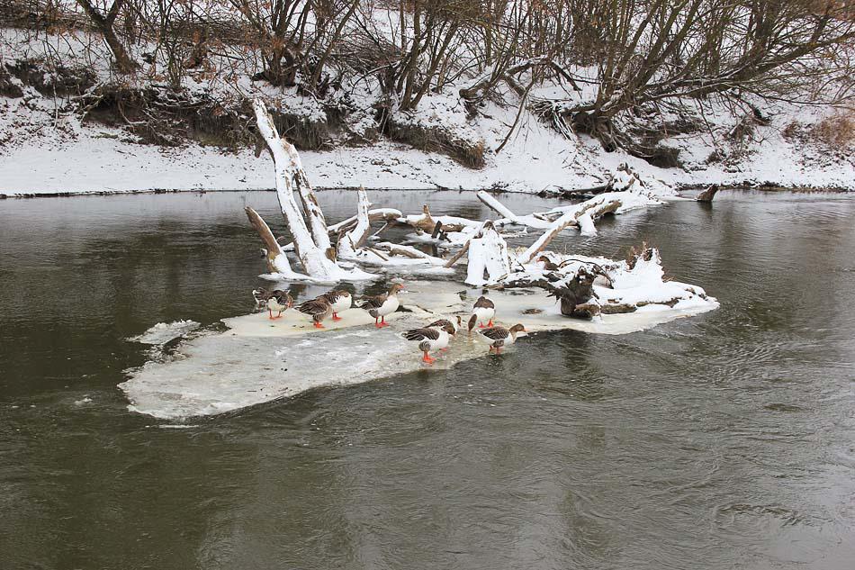 post-21429-0-73216700-1364900327_thumb.j