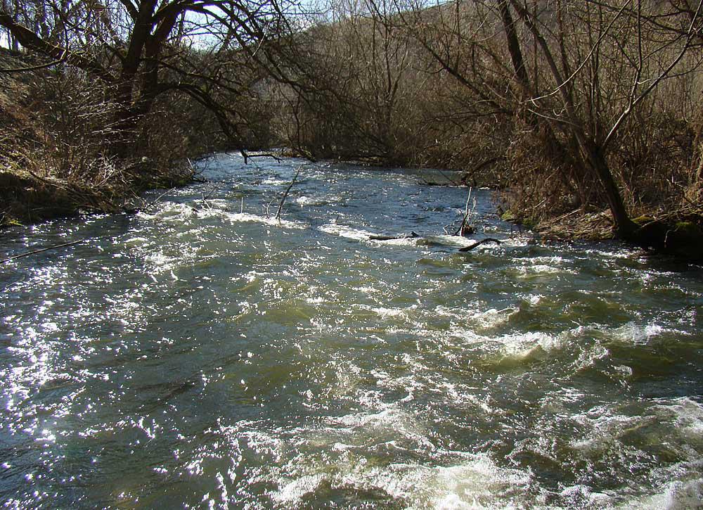 post-21429-0-74341900-1367142876_thumb.j