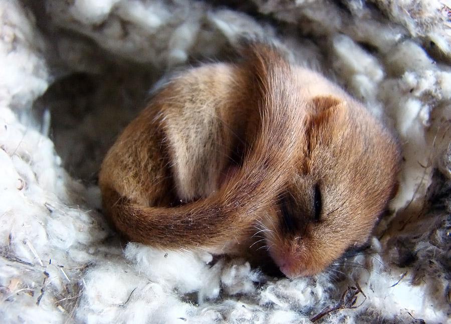 post-21429-0-76155400-1367171863_thumb.j