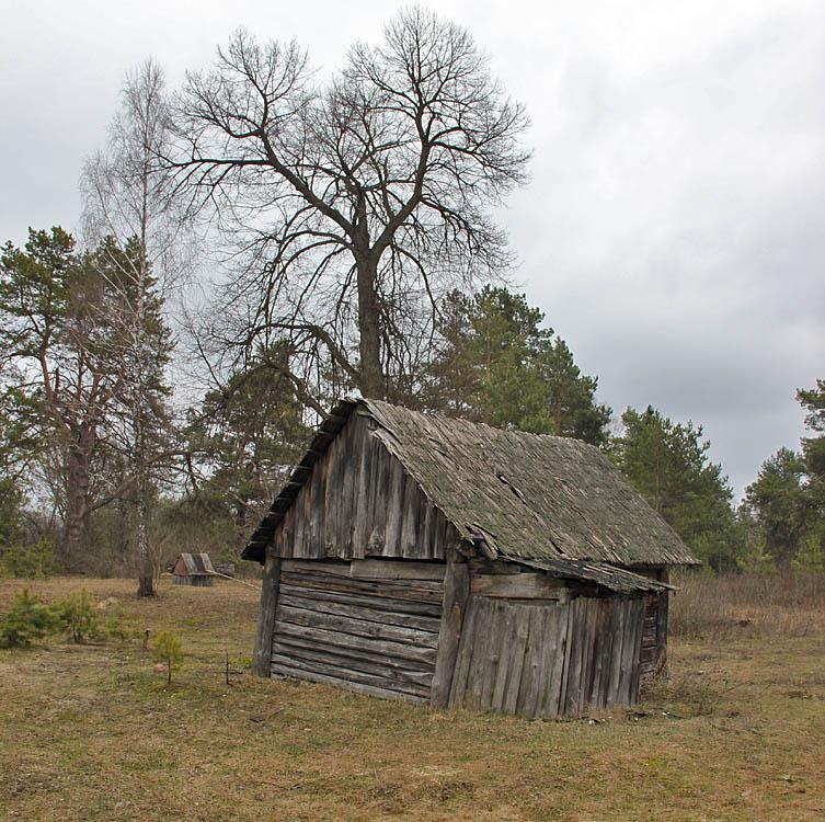 post-21429-0-80645300-1366105010_thumb.j