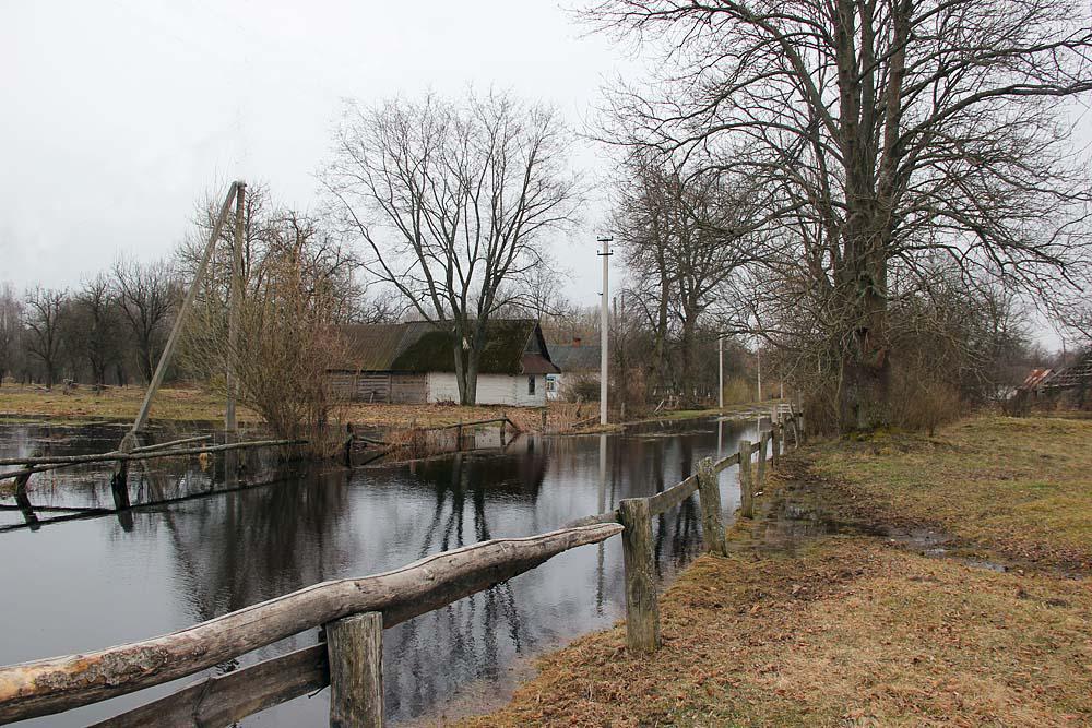 post-21429-0-80954400-1366106188_thumb.j